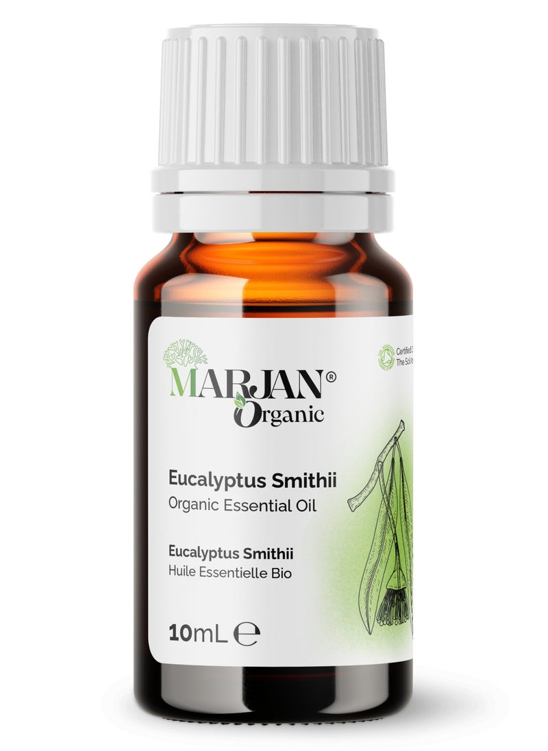 Eucalyptus Smithii Essential Oil 10ml - Certified Organic by The Soil Association