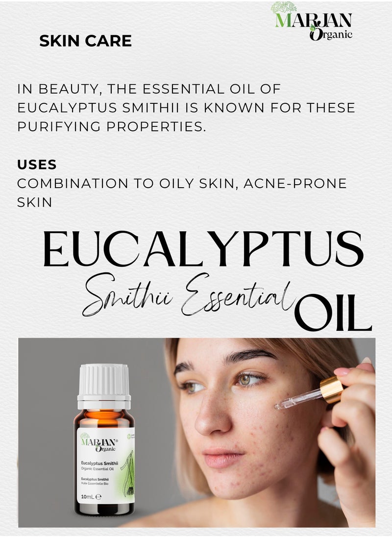 Eucalyptus Smithii Essential Oil 10ml - Certified Organic by The Soil Association