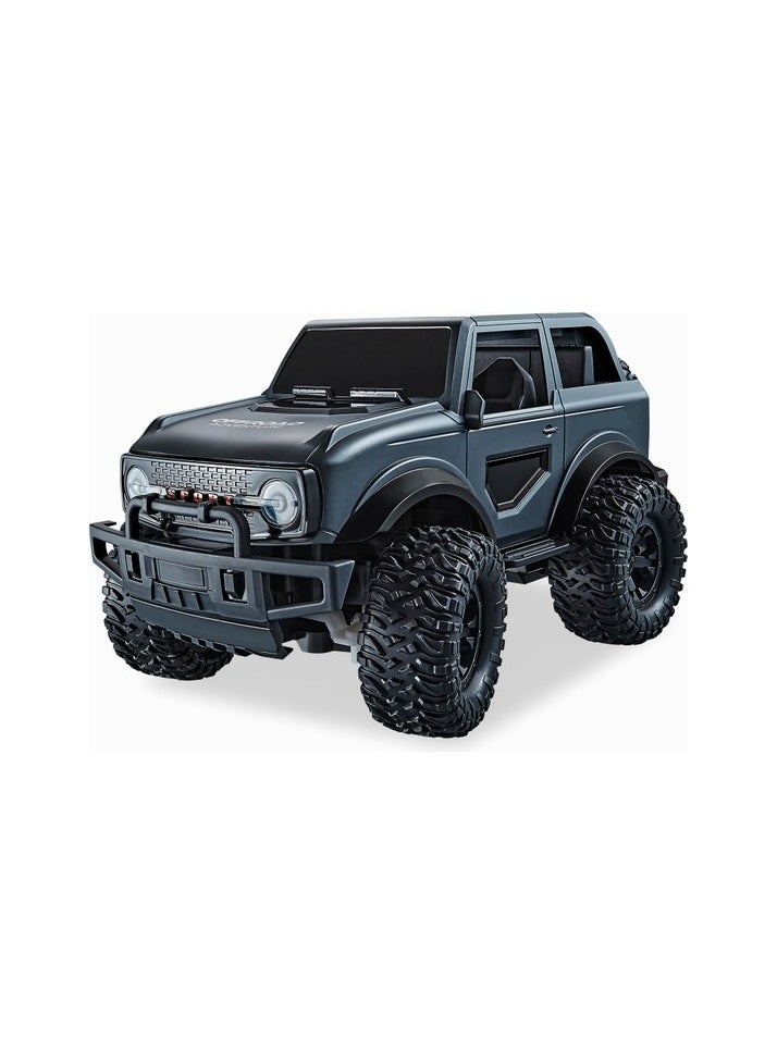 518-01 RC off-road car 1/16