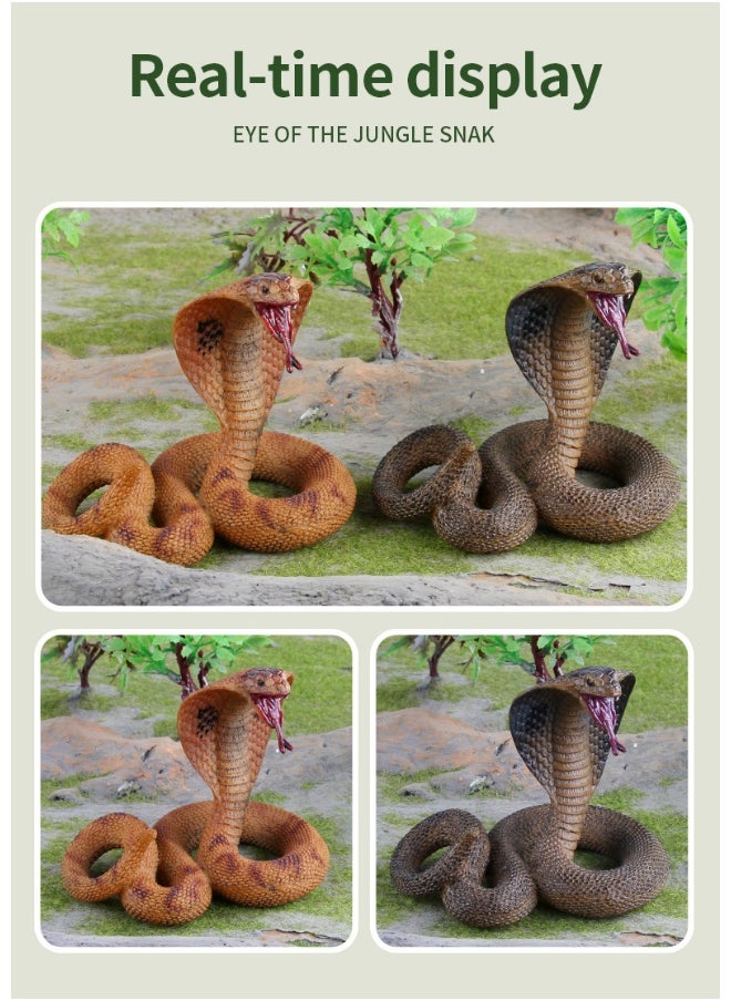 Realistic Amphibious Reptile Cobra Figurine Model – Static Decorative Piece