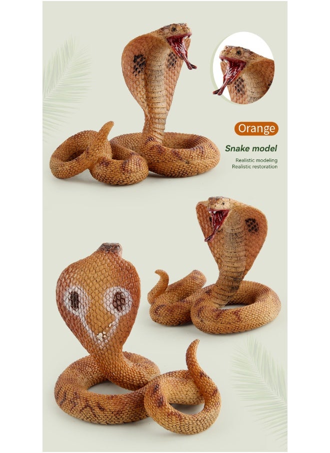 Realistic Amphibian Reptile Cobra Static Decorative Model