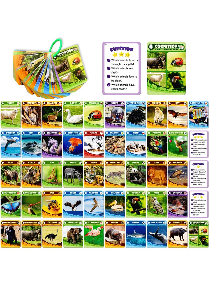 Sight Words Flash Cards with Real Pictures,Dolch Sight Words for Preschool, Kindergarten,1st, 2nd & 3rd Kids and Toddler.Homeschool,Learn to Read,Phonics Learning,135 Pieces