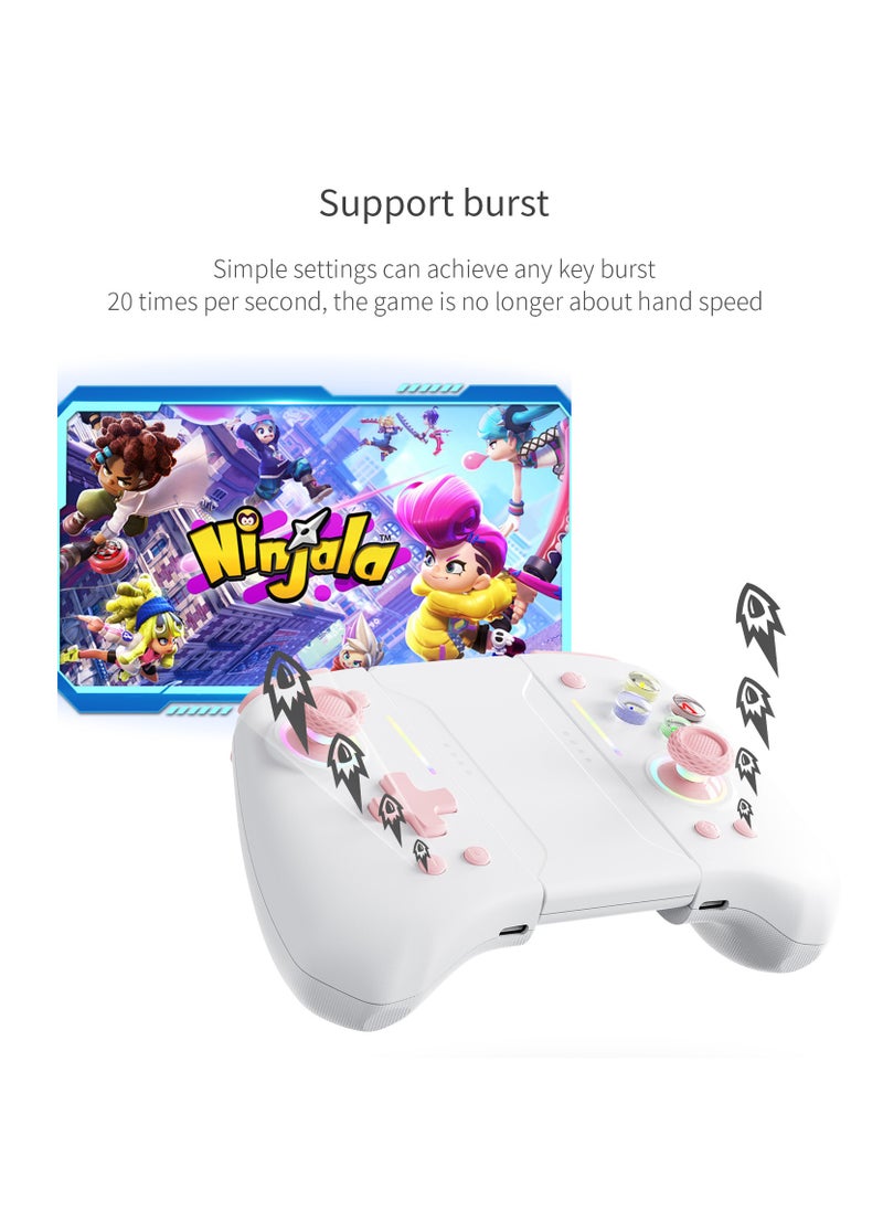 Classic Gamepad LinYuvo Joycon Bluetooth Game Controller Compatible with Switch, Switch Lite, Switch OLED 8 Colors RGB Light Six-Axis Gyroscope Turbo Function Adjustment Dual Vibration White Blue