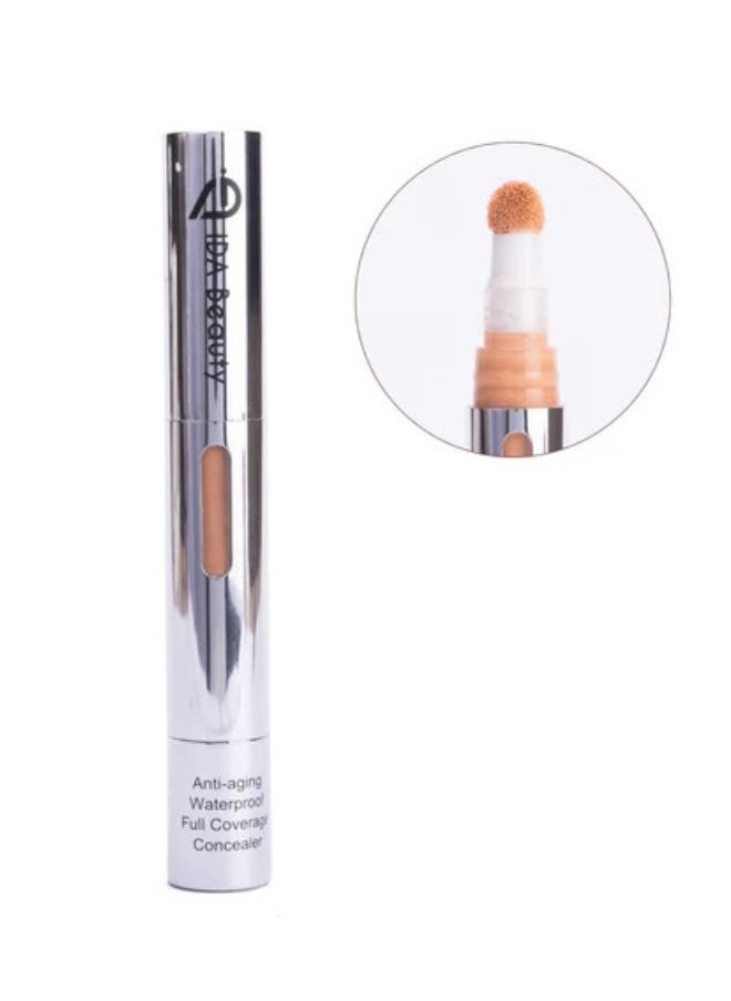 3D Liquid Multi - Use Sculpting Concealer R#01