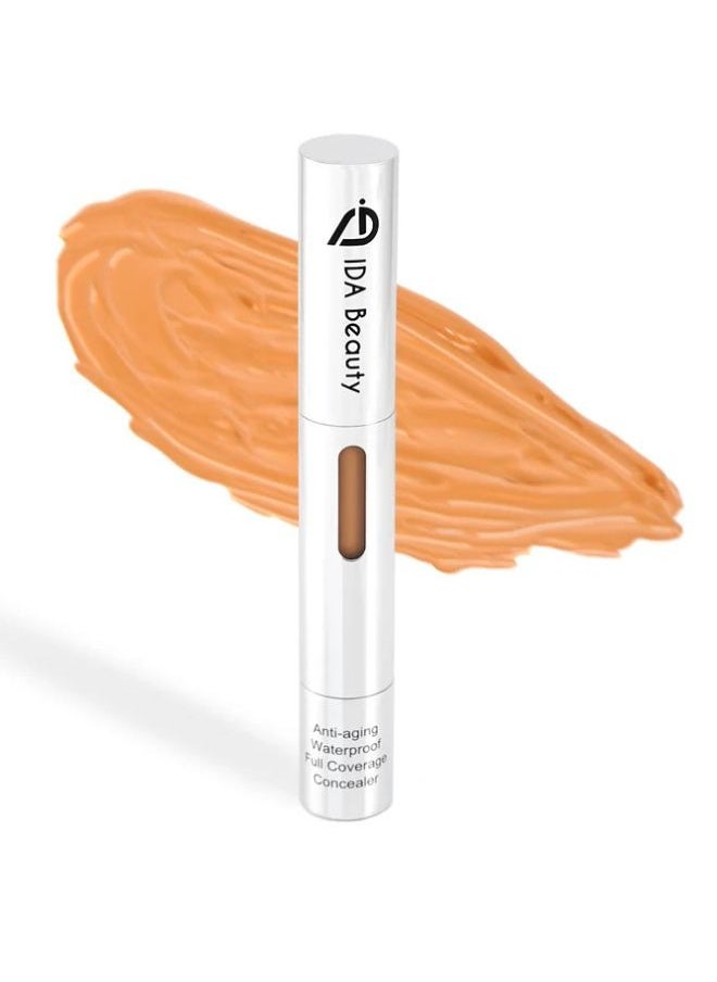 3D Liquid Multi - Use Sculpting Concealer R#01