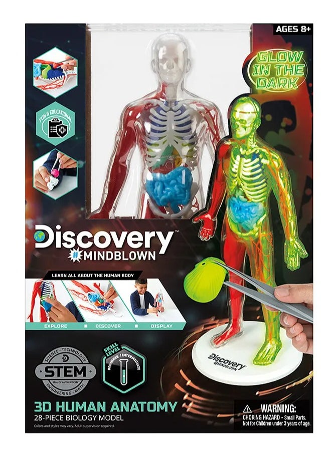 Mind Blown Human Anatomy Stem 3D Puzzle Kit