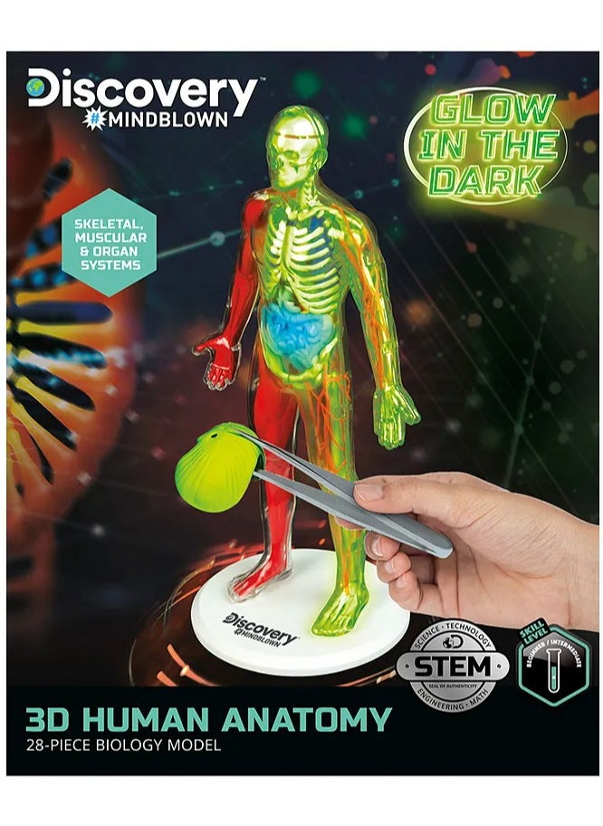 Mind Blown Human Anatomy Stem 3D Puzzle Kit