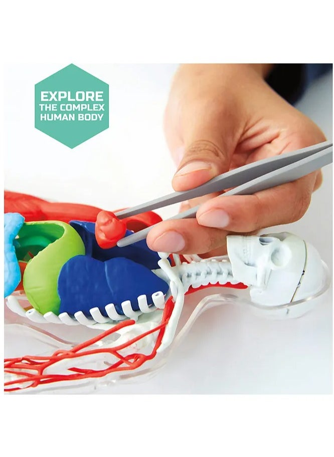 Mind Blown Human Anatomy Stem 3D Puzzle Kit