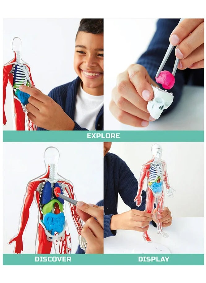 Mind Blown Human Anatomy Stem 3D Puzzle Kit