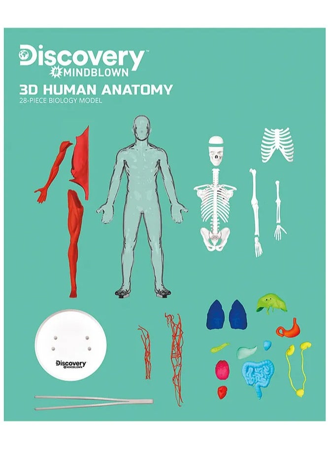 Mind Blown Human Anatomy Stem 3D Puzzle Kit