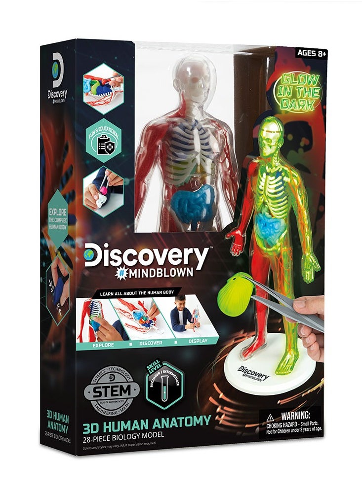 Mind Blown Human Anatomy Stem 3D Puzzle Kit