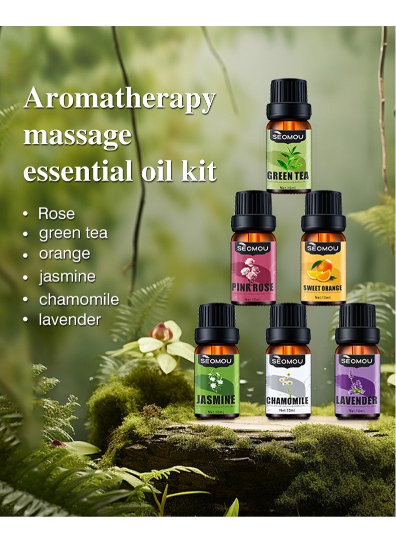 6-PCS Premium Aromatherapy Essential Oil Set, Plant Extract 10ml*6