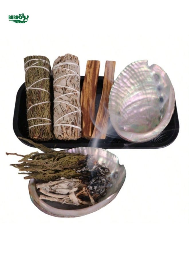 1pc Abalone Shell For DIY Decoration