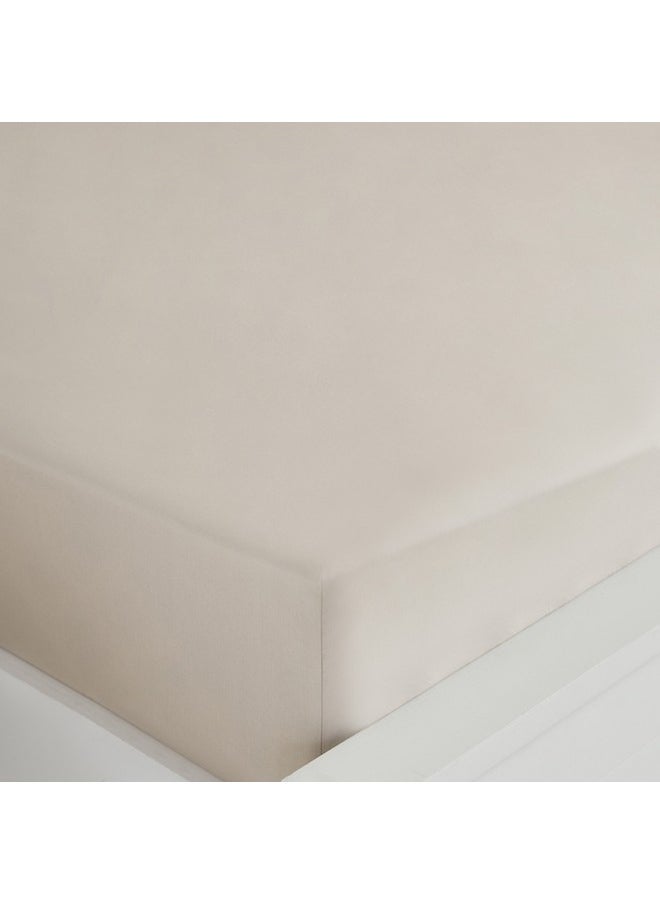 Purely Percale King Fitted Sheet 200 x 40 x 180 cm