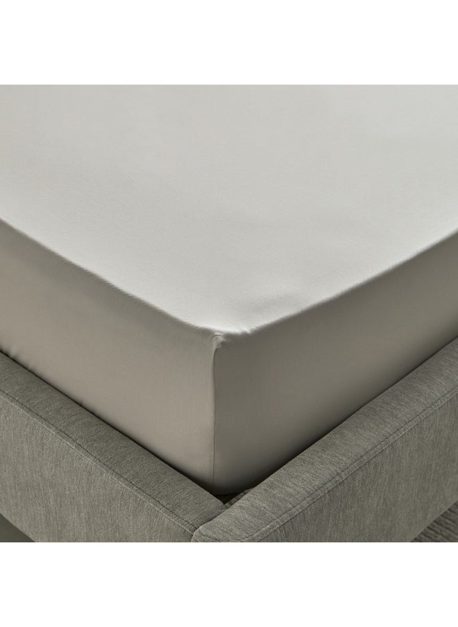 Purely Percale Twin Fitted Sheet 200 x 40 x 120 cm