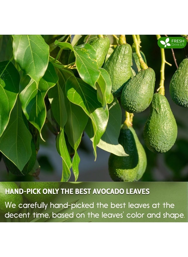 , Premium 120 Avocado Whole Dried Leaves, 100% Natural & Pure form Avocado Leaves, Avocado Leaf Tea, Avocado Herbal Tea, No Additives, No Caffeine, Vegan