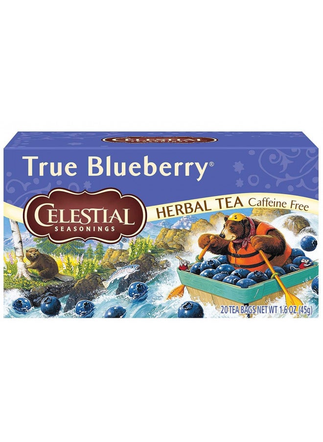 Celestial Seasonings Herb Tea True Blueberry 20 Bag (Pack of 2)