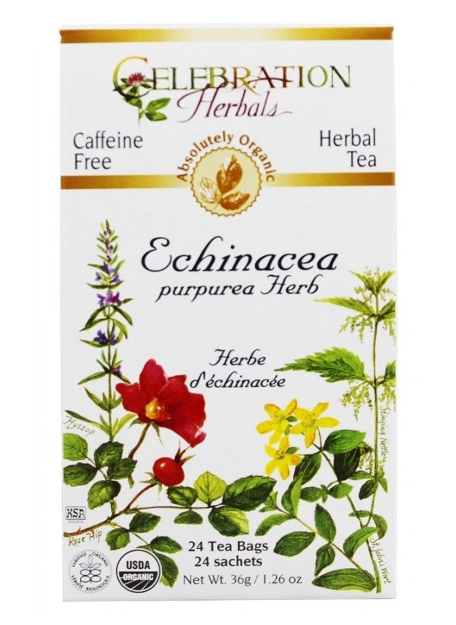 CELEBRATION HERBALS TEA ECHINACEA PURPUREA HERB OG, 24 CT