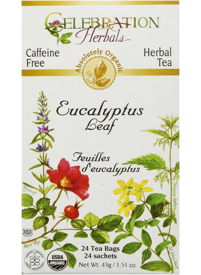 CELEBRATION HERBALS Eucalyptus Leaf Organic 24 Bag, 0.02 Pound