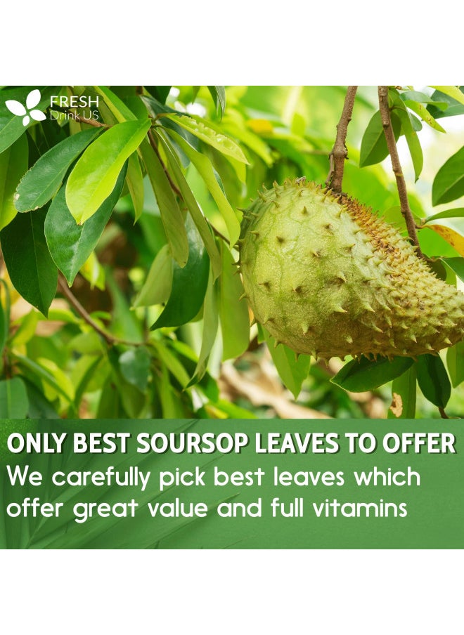 120+ Premium Soursop Graviola Dried Leaves, 120-130 Natural Leaves, Whole Soursop Leaves, Wildcrafted, Graviola, Soursop, Hoja Guanabana, Soursop Loose Leaf Herbal Tea, No Gluten, Vegan