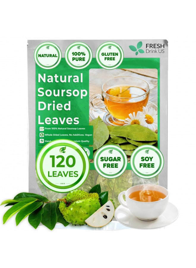 120+ Premium Soursop Graviola Dried Leaves, 120-130 Natural Leaves, Whole Soursop Leaves, Wildcrafted, Graviola, Soursop, Hoja Guanabana, Soursop Loose Leaf Herbal Tea, No Gluten, Vegan