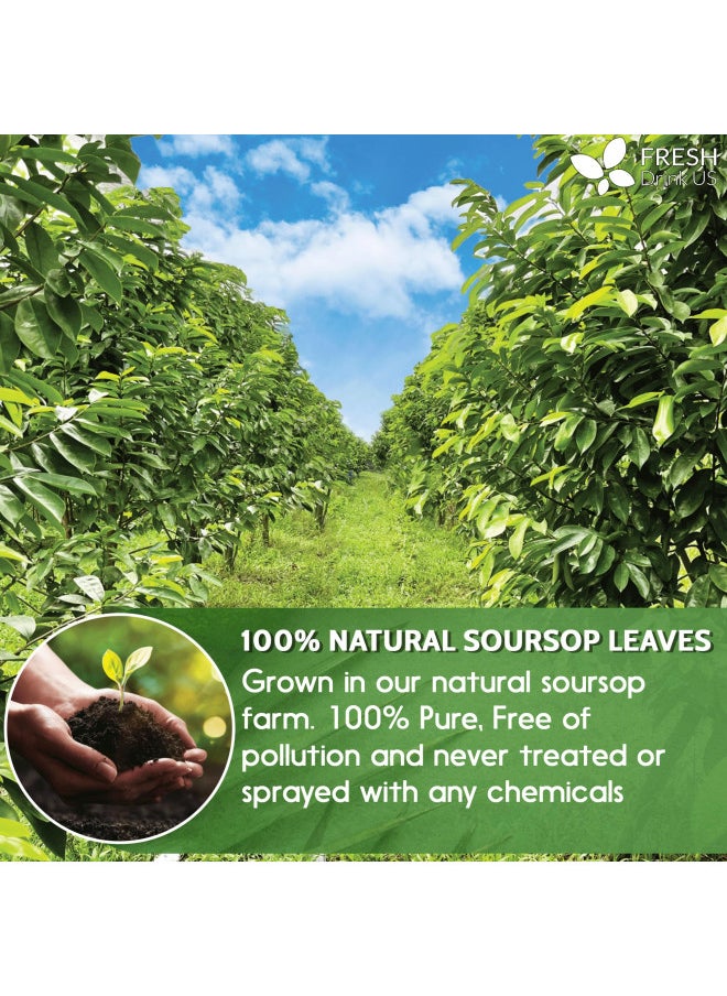 120+ Premium Soursop Graviola Dried Leaves, 120-130 Natural Leaves, Whole Soursop Leaves, Wildcrafted, Graviola, Soursop, Hoja Guanabana, Soursop Loose Leaf Herbal Tea, No Gluten, Vegan