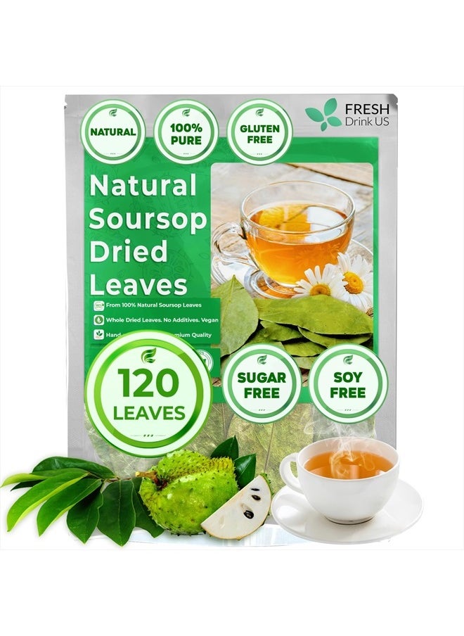 120+ Premium Soursop Graviola Dried Leaves, 120-130 Natural Leaves, Whole Soursop Leaves, Wildcrafted, Graviola, Soursop, Hoja Guanabana, Soursop Loose Leaf Herbal Tea, No Gluten, Vegan