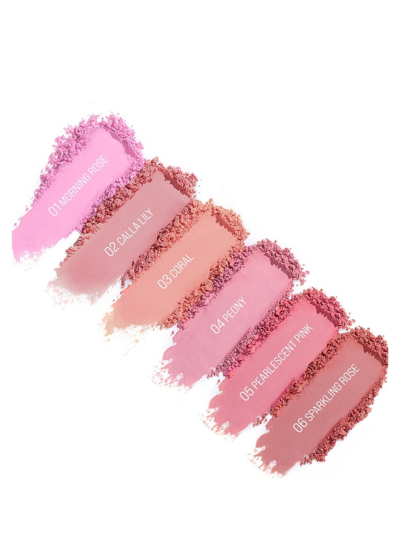 Cheeky Blush Palette Makeup Peach Blushers for Cheeks Make up Pink Coral Blush Face Powder Matte Natural Looking 3 in 1 Blushes Cruelty Free Talc Free 01