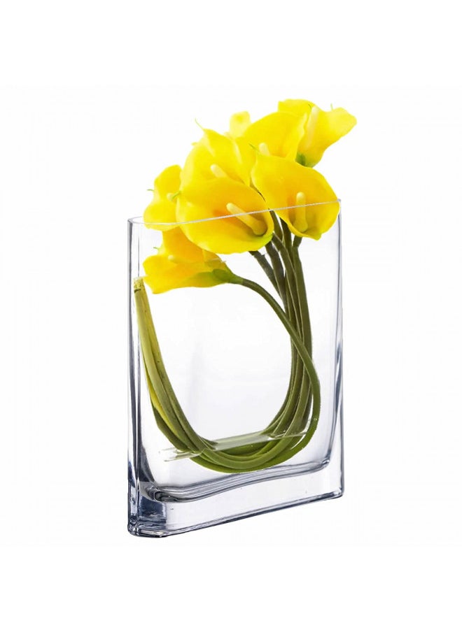 CYS EXCEL Glass Book Vase (H:8