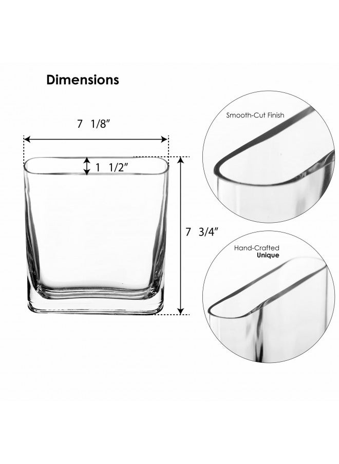 CYS EXCEL Glass Book Vase (H:8