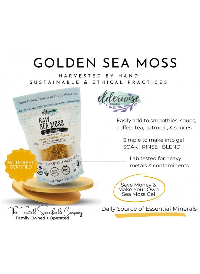 Sea Moss | Makes 20oz of Gel | WILDCRAFTED | Raw + Non GMO | Sundried | MINERAL RICH | Golden