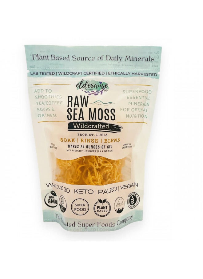 Sea Moss | Makes 20oz of Gel | WILDCRAFTED | Raw + Non GMO | Sundried | MINERAL RICH | Golden