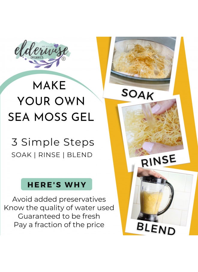 Sea Moss | Makes 20oz of Gel | WILDCRAFTED | Raw + Non GMO | Sundried | MINERAL RICH | Golden