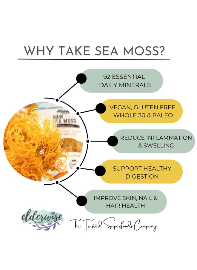 Sea Moss | Makes 20oz of Gel | WILDCRAFTED | Raw + Non GMO | Sundried | MINERAL RICH | Golden