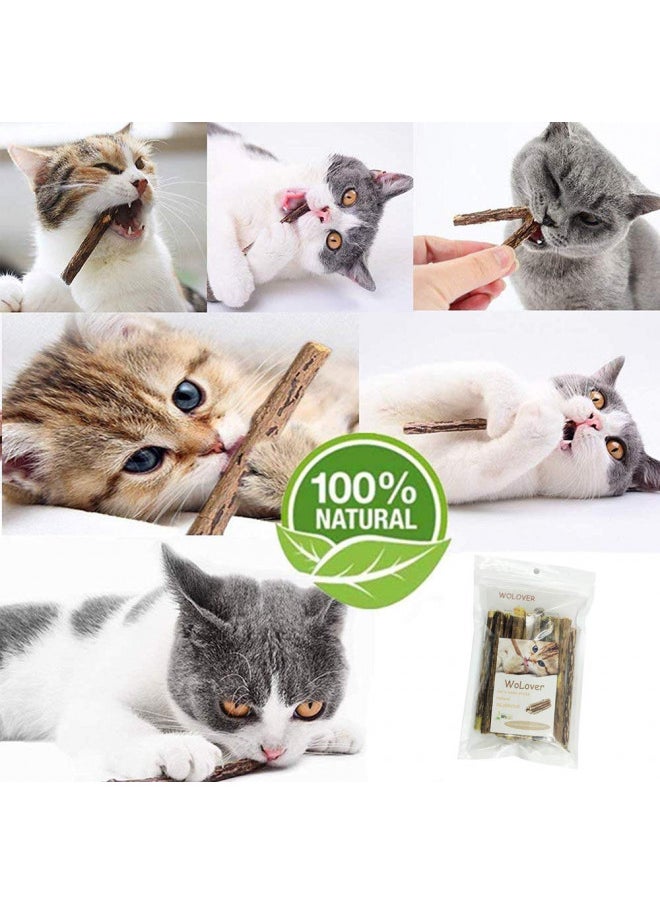 WoLover Silvervine Sticks for Cats, Natural Catnip Sticks Matatabi Chew Sticks Teeth Molar Chew Toys for Cat Kitten Kitty (at Least 12 PCS)