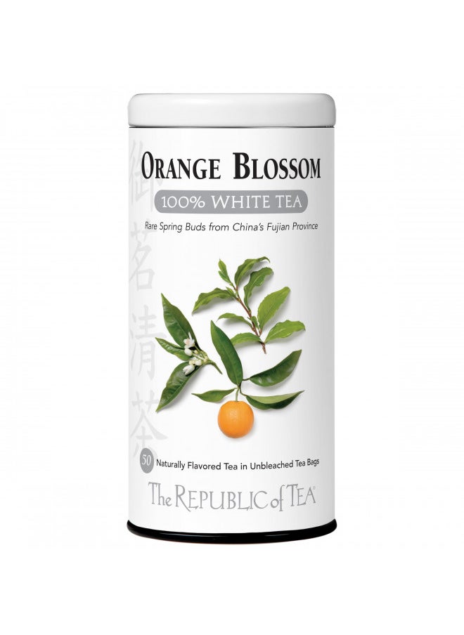 The Republic of Tea Orange Blossom White Tea, 50-Count