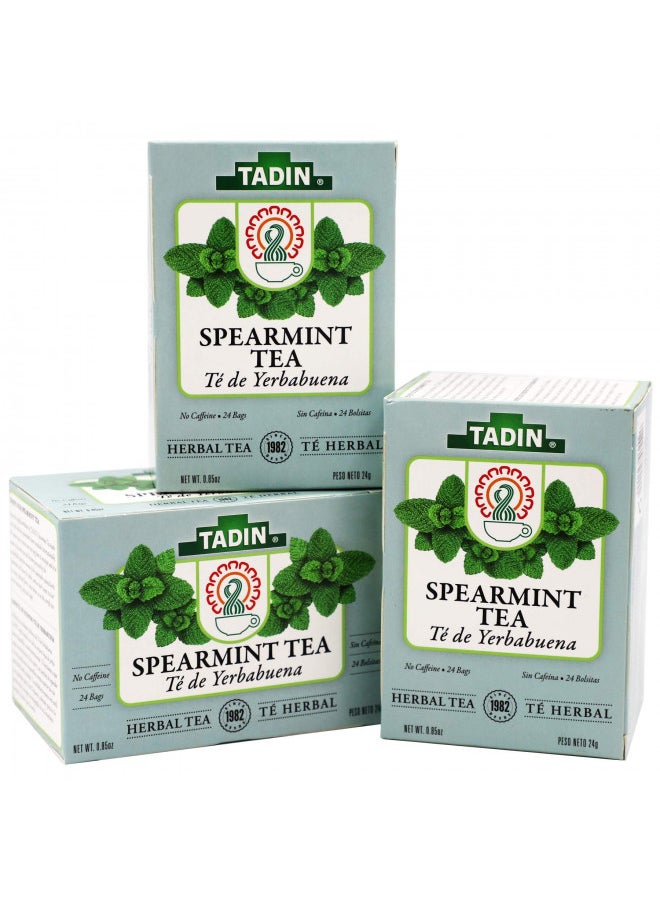 Tadin Spearmint Tea, Helps Relieve Stomach Pain and Indigestion, 24 Count (Pack of 3)