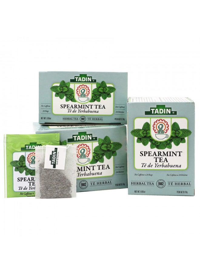 Tadin Spearmint Tea, Helps Relieve Stomach Pain and Indigestion, 24 Count (Pack of 3)