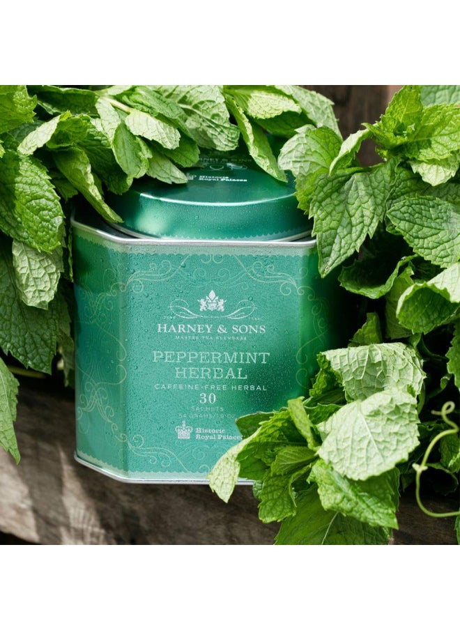 Harney & Sons Peppermint Herbal Tea in Sachets, Caffeine-Free Herbal, 30 Sachets