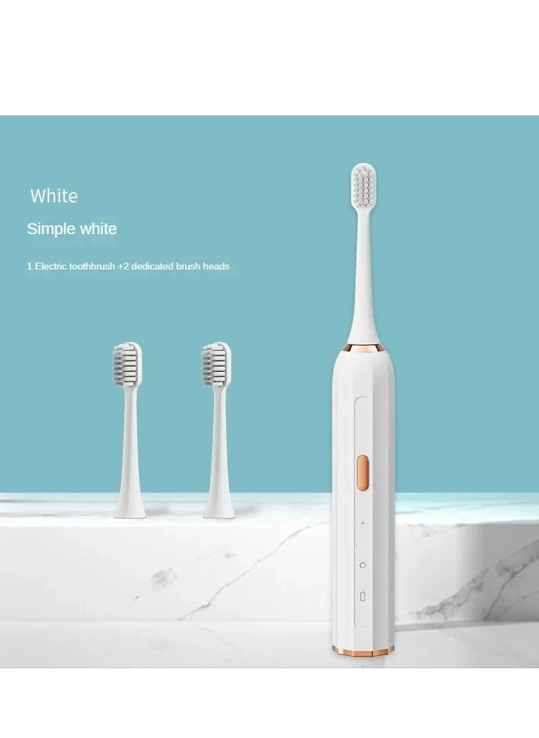 Rotating Electric Toothbrush for Adults with 8 Brush Heads, Travel Rechargeable Power Toothbrush