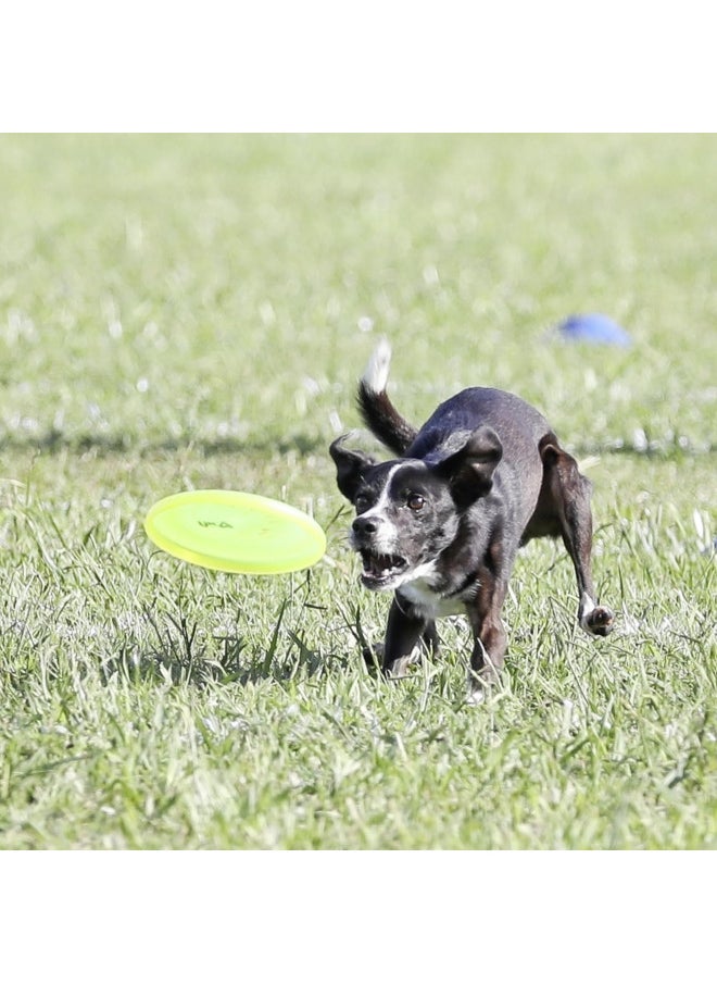 Hyperflite Jawz Pup World Toughest Competition Dog Disc Puncture Resistant Frisbee 7 Inch Lemon Lime