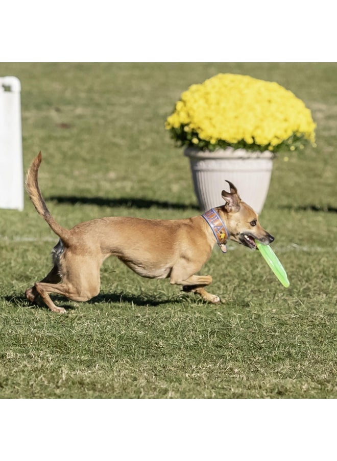 Hyperflite Jawz Pup World Toughest Competition Dog Disc Puncture Resistant Frisbee 7 Inch Lemon Lime