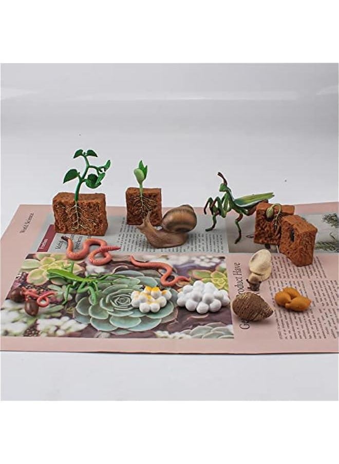 Farm Animals Figurines Life Growth Cycle of Plants Earthworms Mantises Snails, Plastic Food Chain Animal Figures Toy Kit Educational School Project for Kids