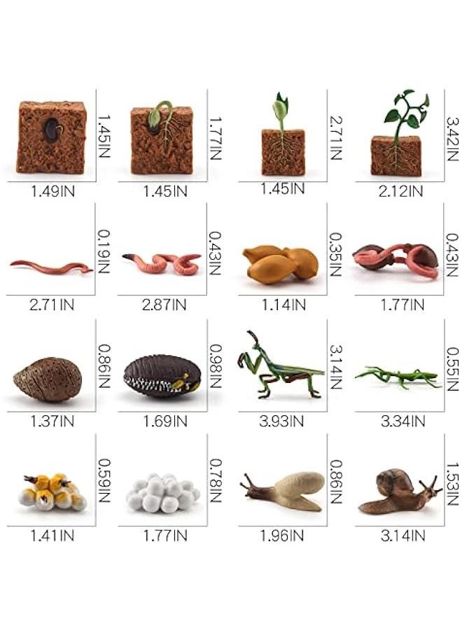 Farm Animals Figurines Life Growth Cycle of Plants Earthworms Mantises Snails, Plastic Food Chain Animal Figures Toy Kit Educational School Project for Kids