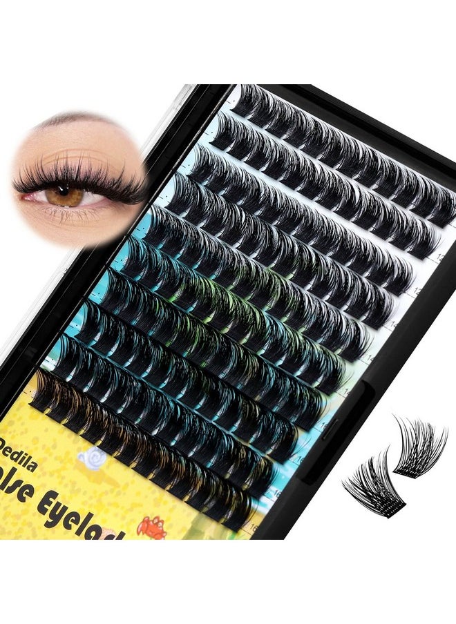 Dedila Large Pack Cluster Eyelash Extensions D Curl Wide Stem Mixed 10-12-14-16mm /12-14-16mm/14-16-18mm Individual False Eyelashes Dramatic Volume Eye Lashes Set (mixed 12-14-16mm)