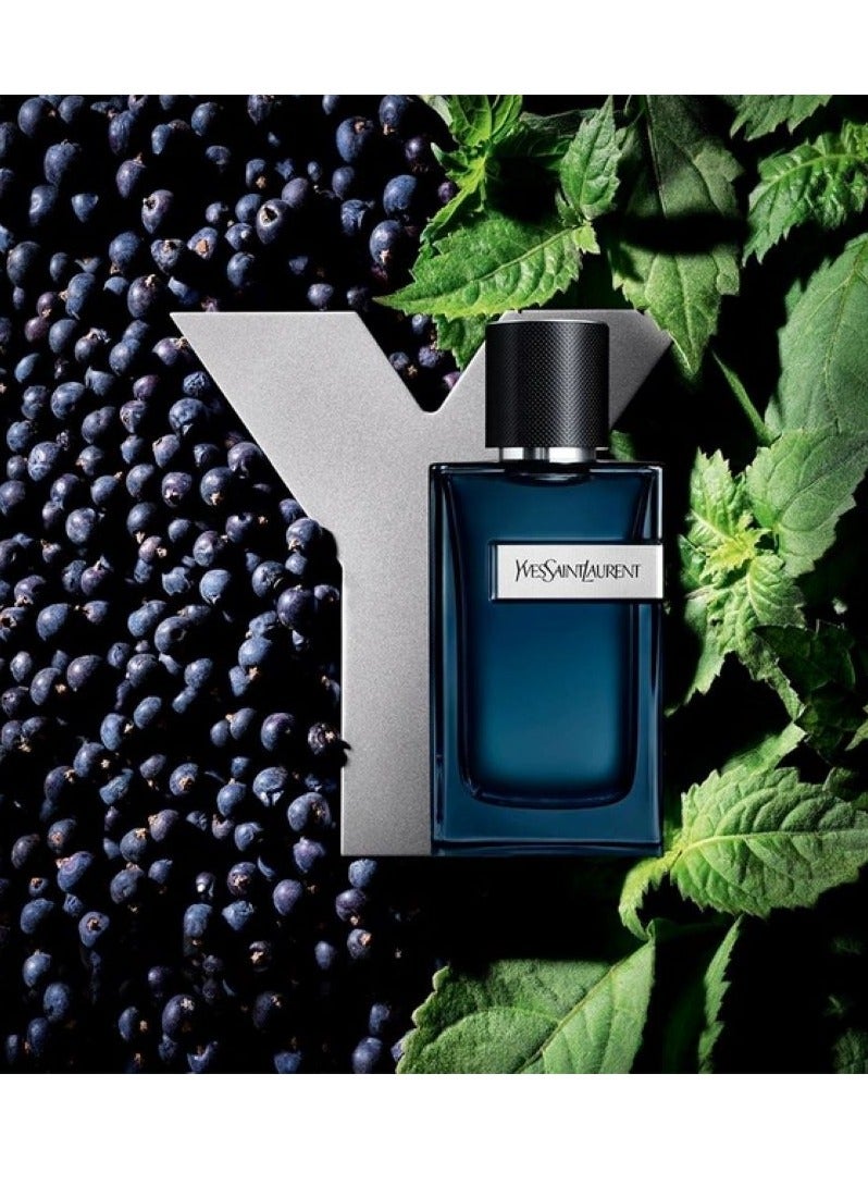 Y Intense For Him EDP 60mlml
