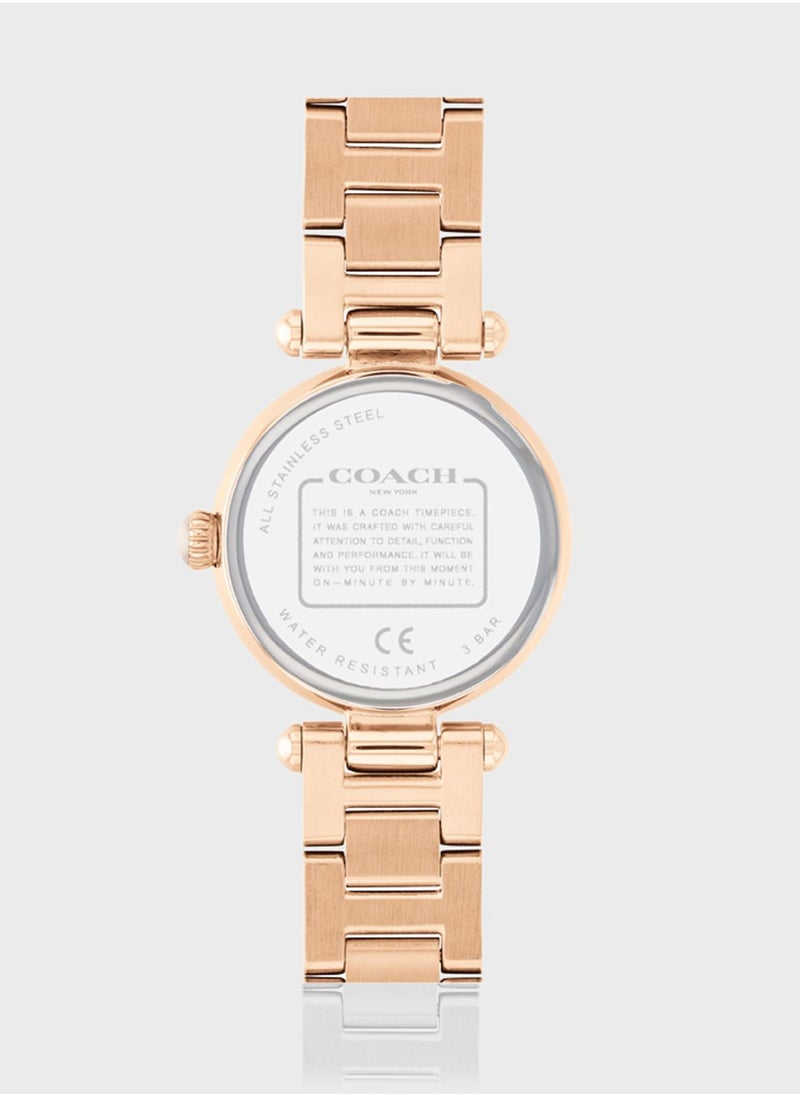 Cary Analog Watch