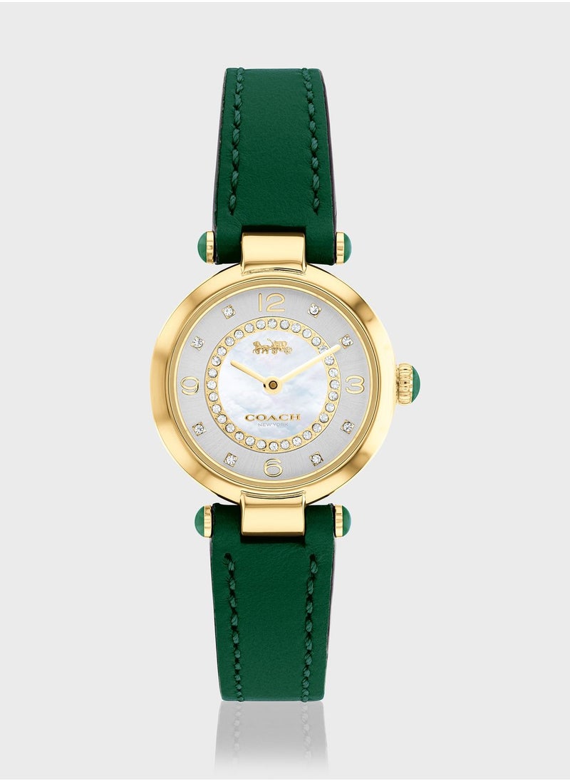 Cary Analog Watch