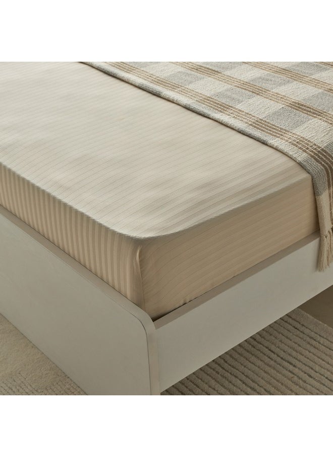 Hamilton Satin Stripe Olympic Queen Fitted Sheet 160 x 200 x 36 cm