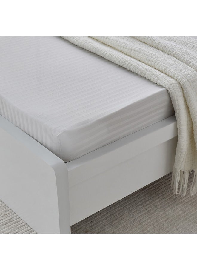 Hamilton Striped Satin Cotton Single Fitted Sheet 200 x 36 x 90 cm